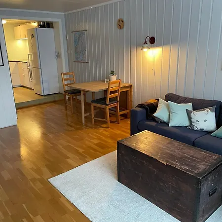 Leilighet Sentralt Pa Apartment *