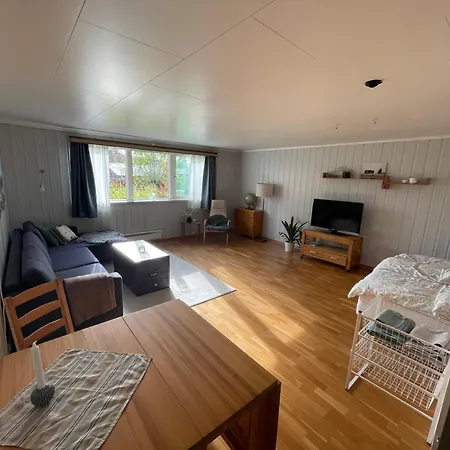 Apartment Leilighet Sentralt Pa Tynset